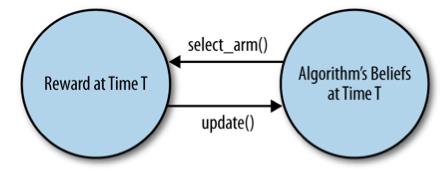 Feedback cycle